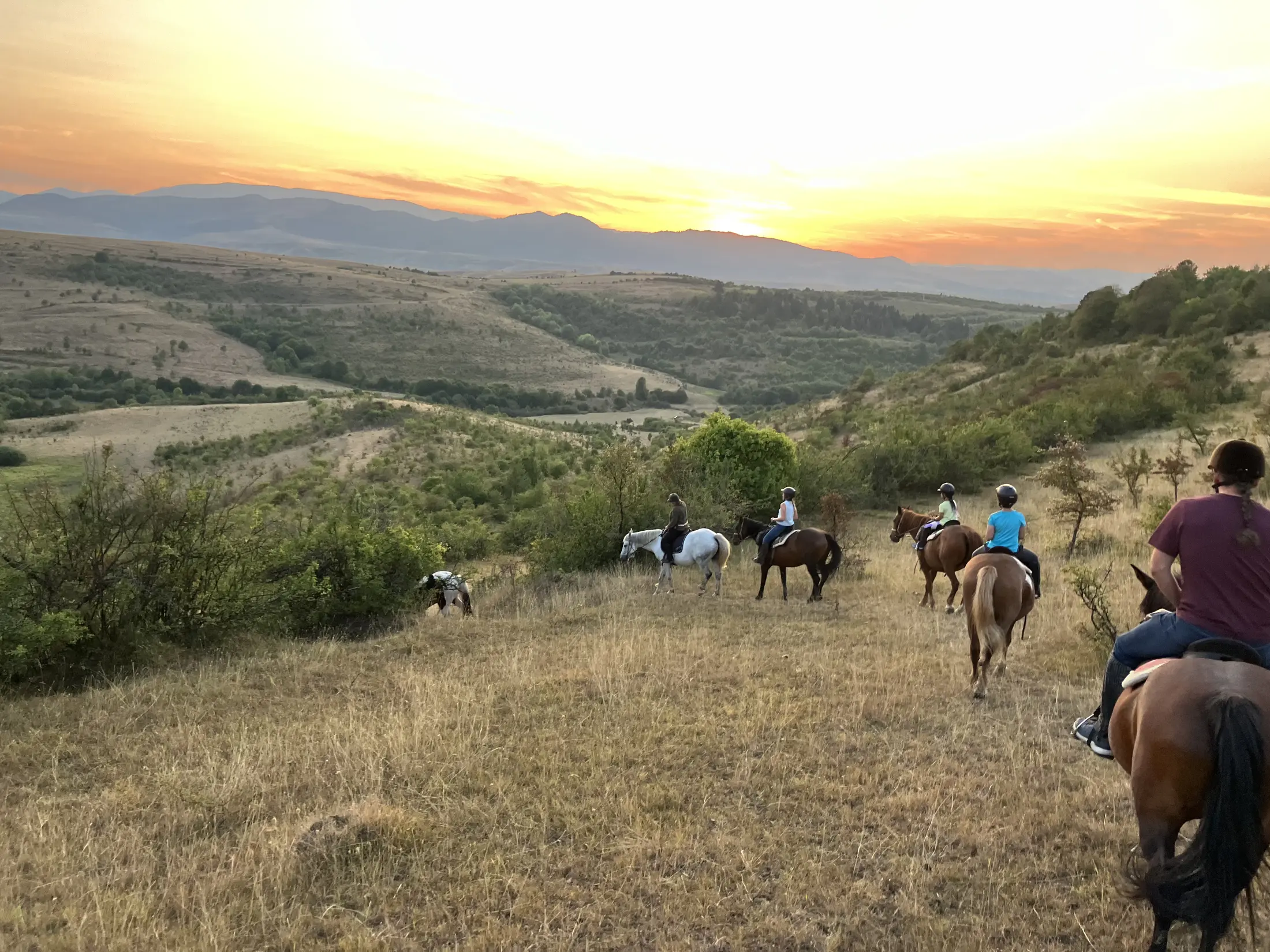 Riders following an open meadow trail