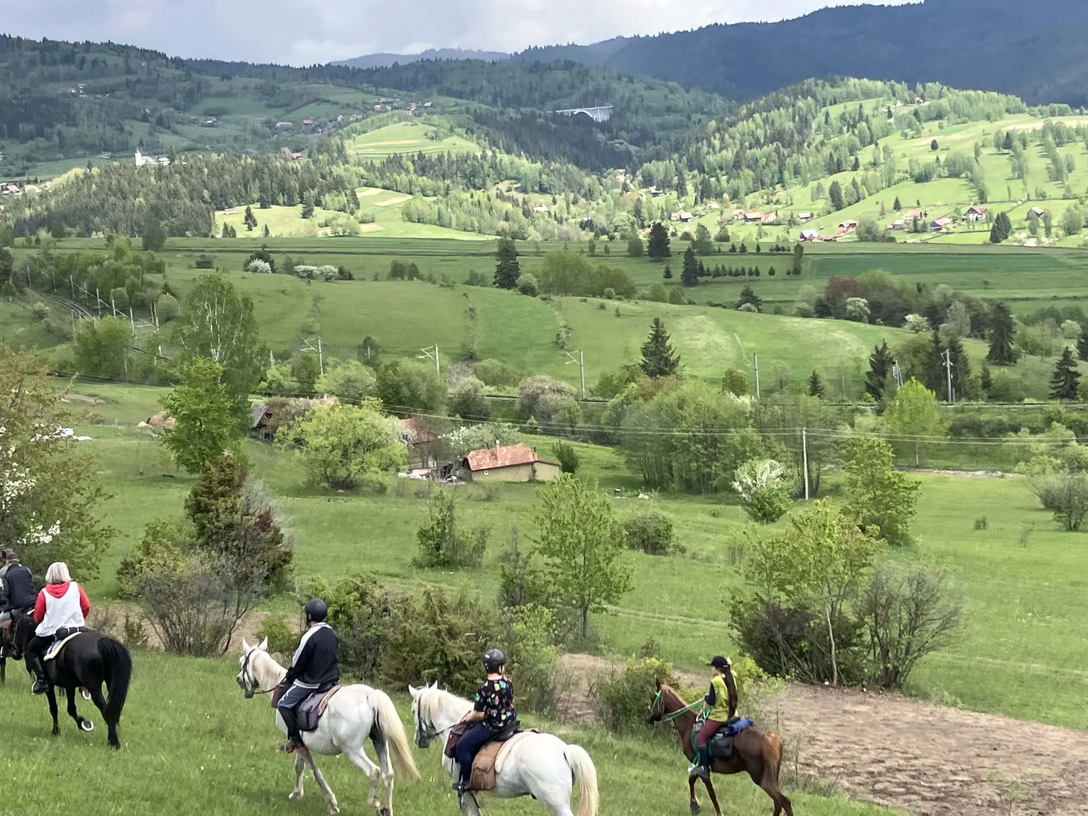 Horse and rider in quiet countryside