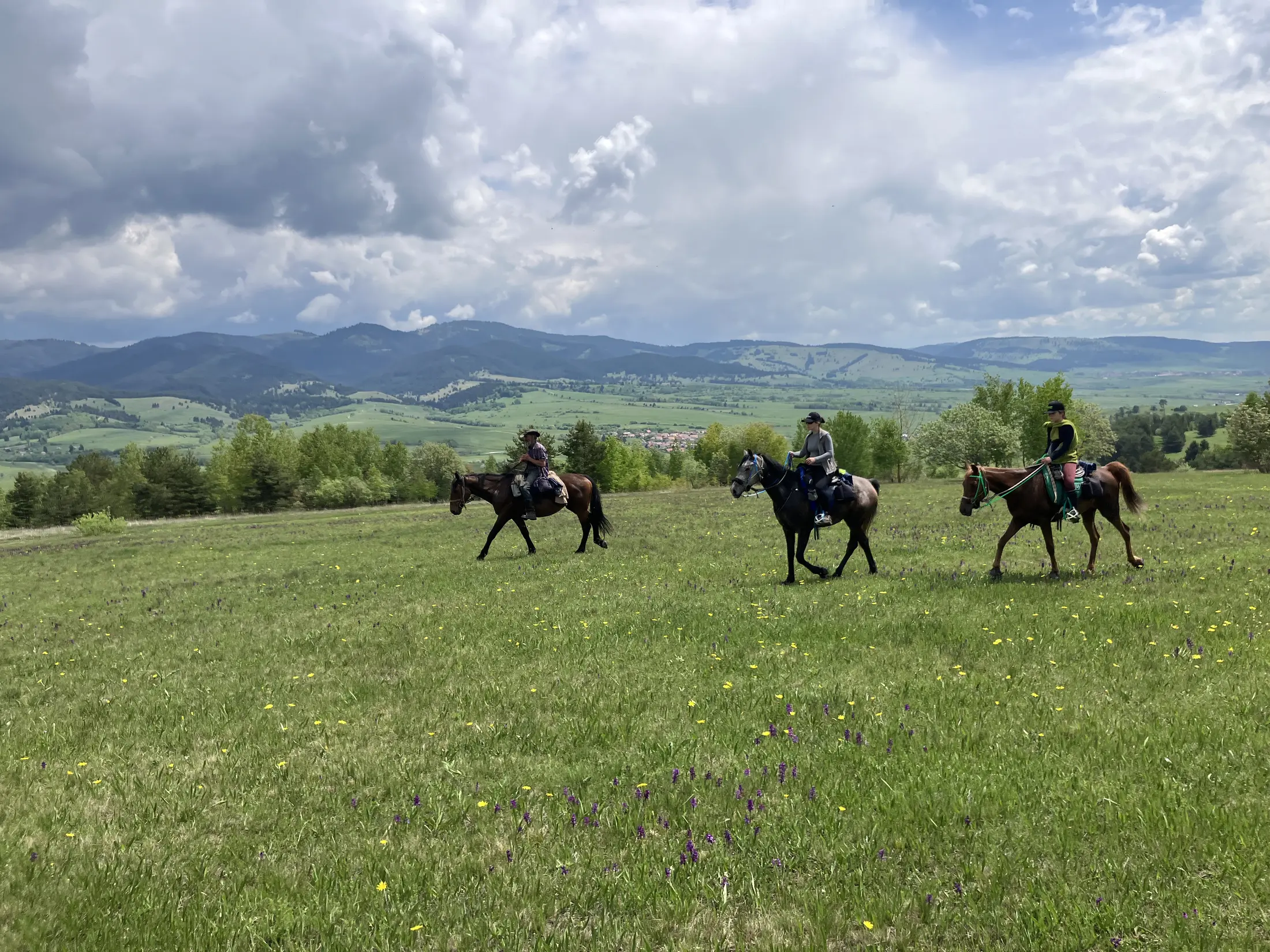 Small private group travelling through the countryside
