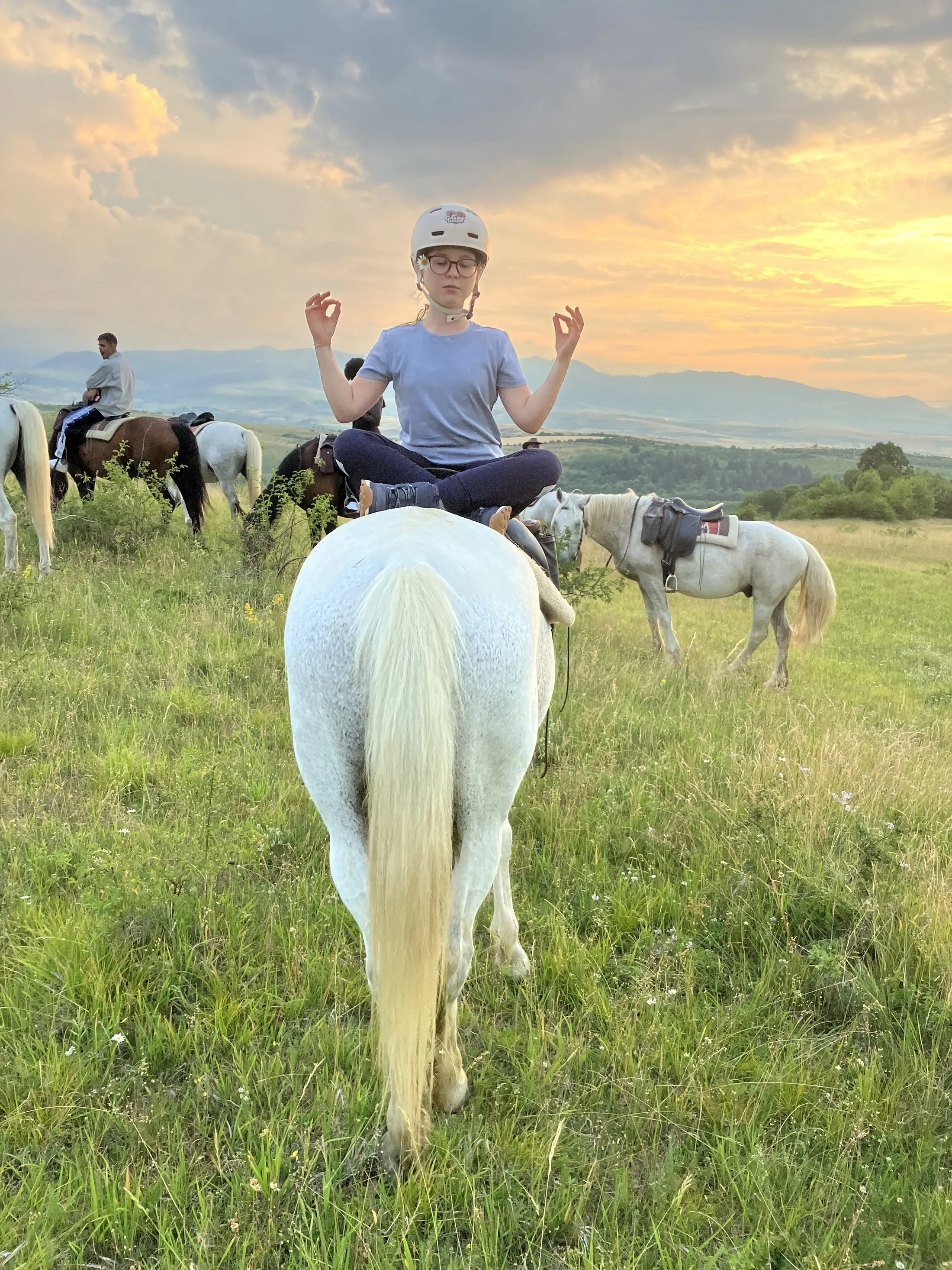 Illustrated private riding group near a rural guesthouse