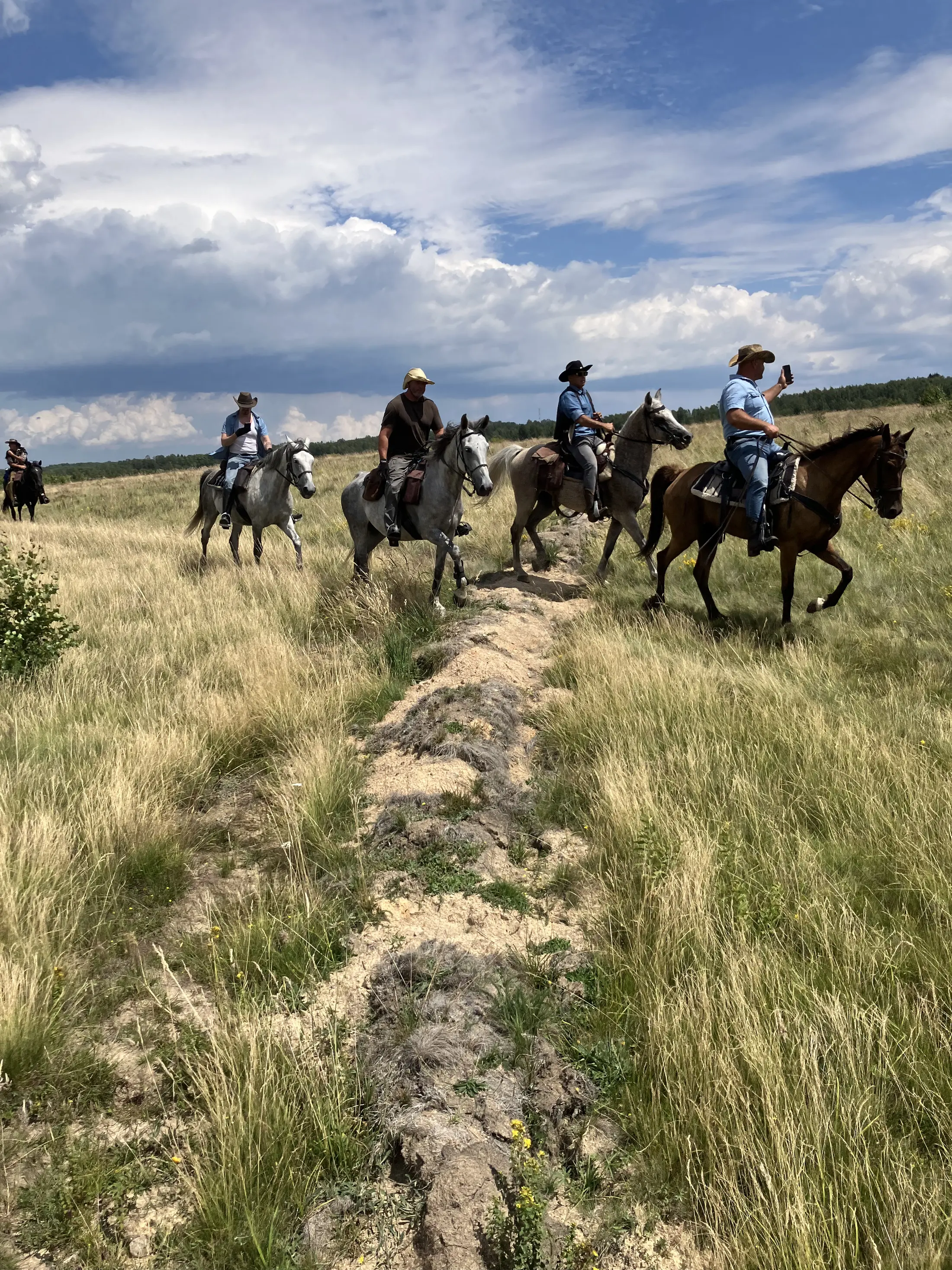 Illustrated private horseback group in Transylvania