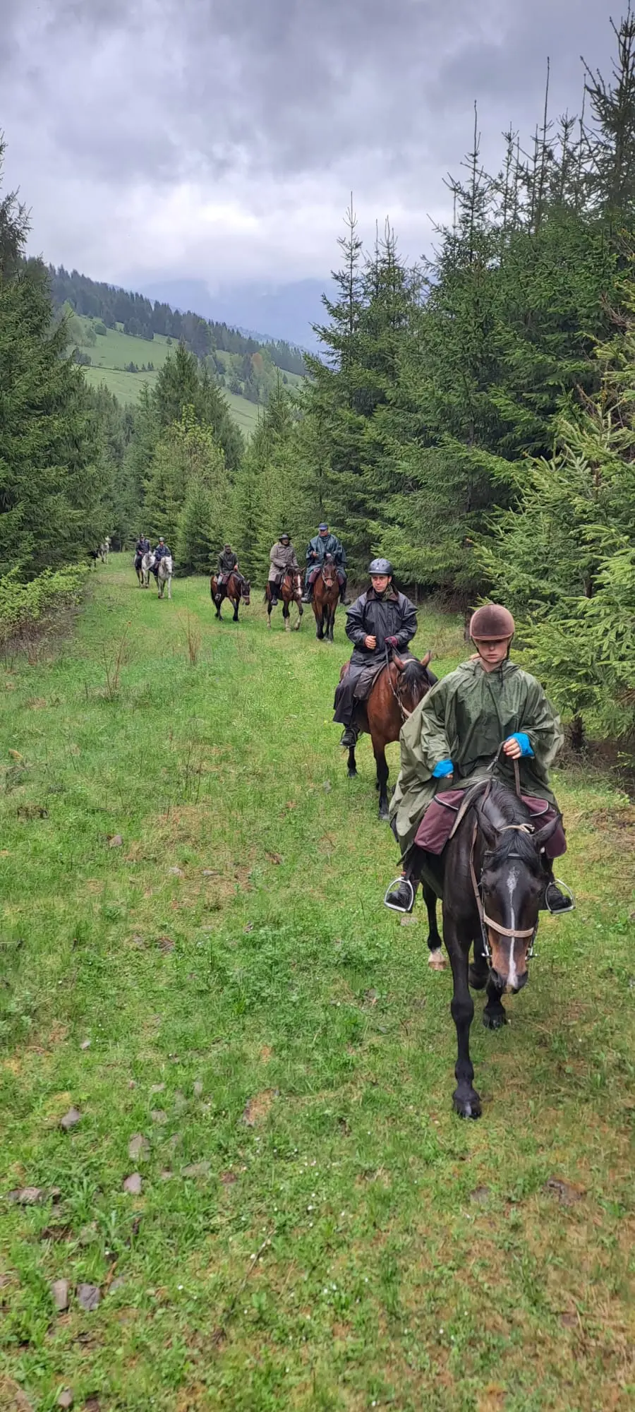 Illustrated riders crossing open countryside